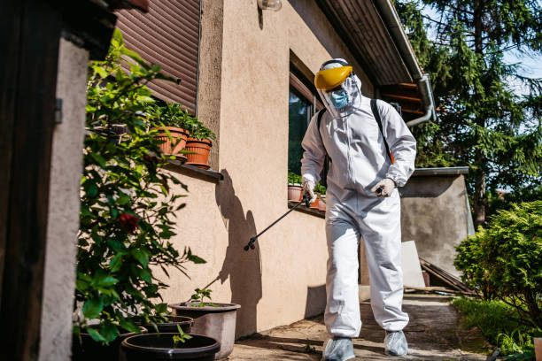 Pest Prevention Services in Maria Stein, OH